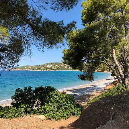 Marina Villa *